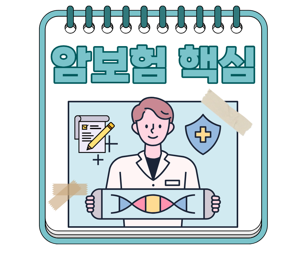 암보험비교 핵심 가이드