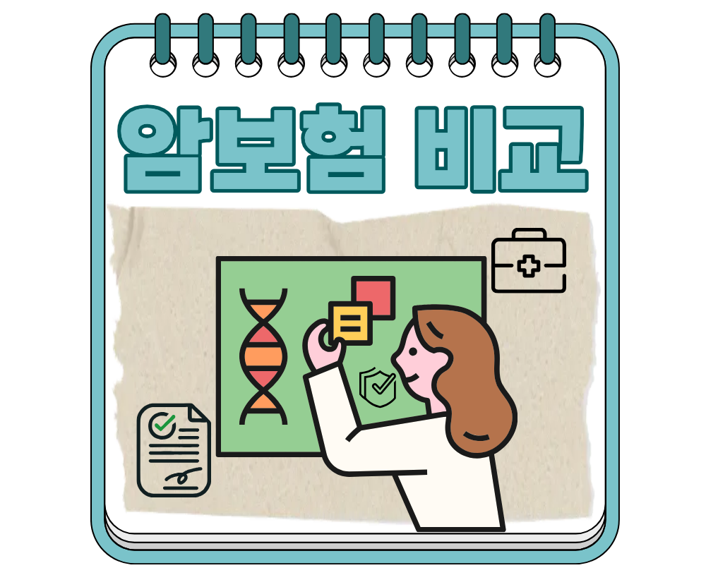 갱신형 vs 비갱신형 암보험 비교